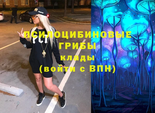 круглые Алексеевка