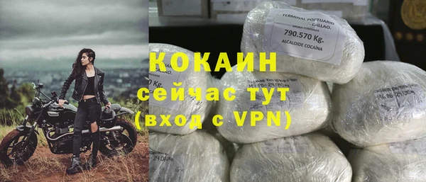 крисы Алексин